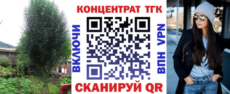 ТГК гашишное масло Шагонар