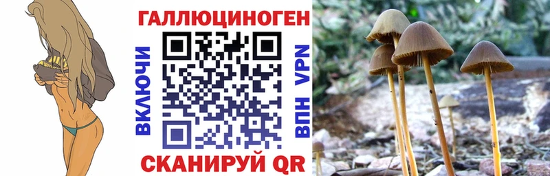kraken ТОР  Шагонар  Галлюциногенные грибы мухоморы 